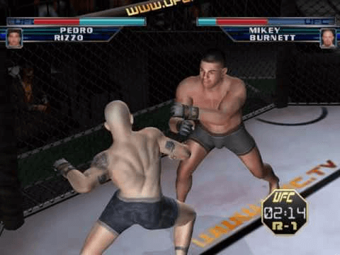 UFC 2 Tapout Final Spec screenshot 3 for Gamecube